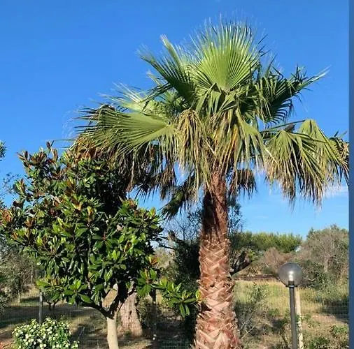 Tenuta Punta Della Suina Ferienhaus *